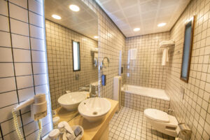 Dampfreiniger im Badezimmer