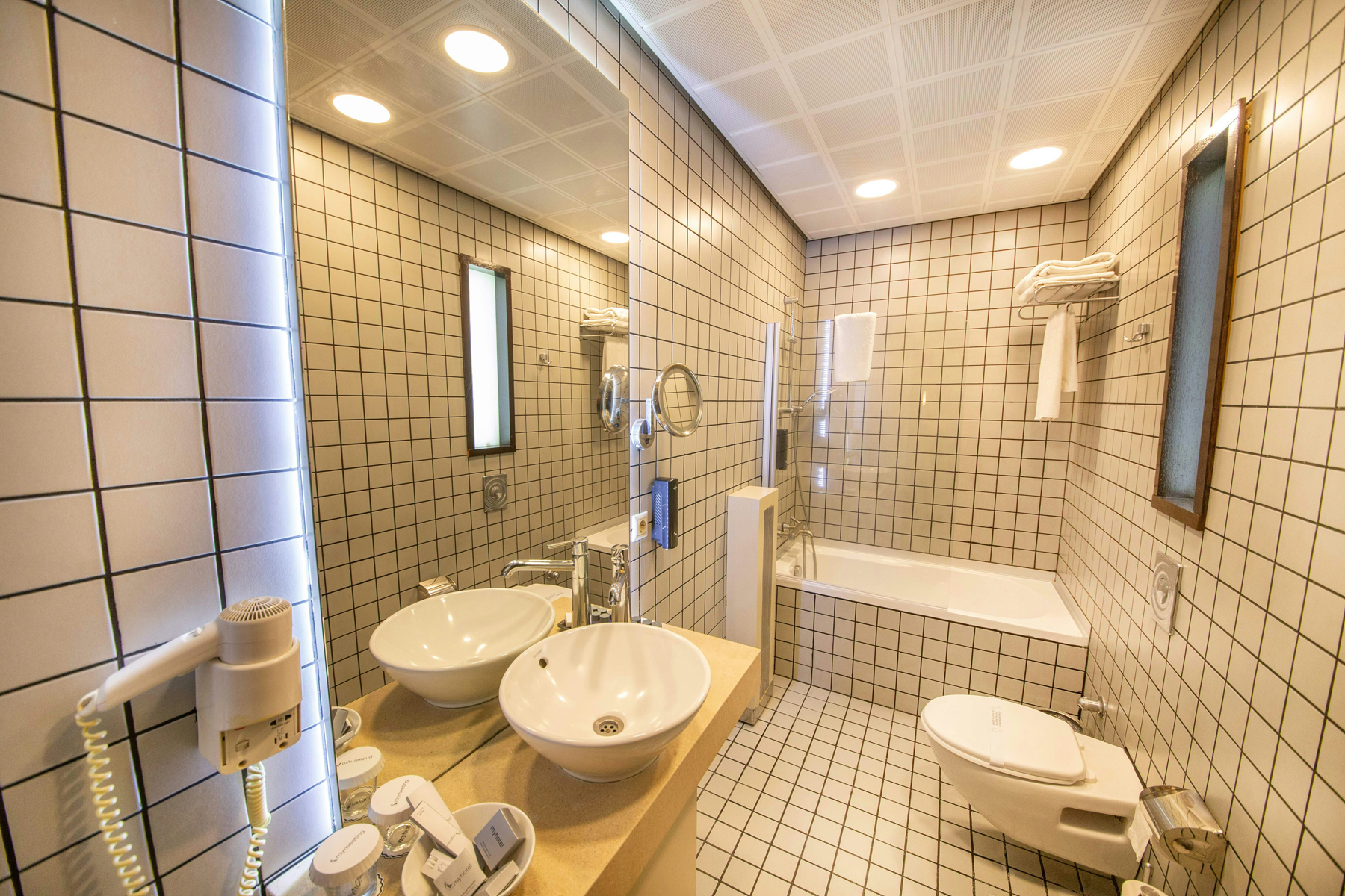 Dampfreiniger im Badezimmer